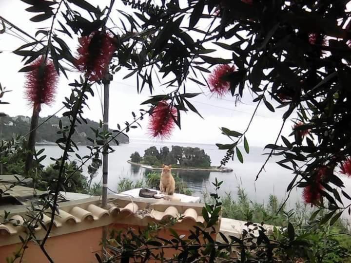 Panorama Perama (Corfu) Exterior foto