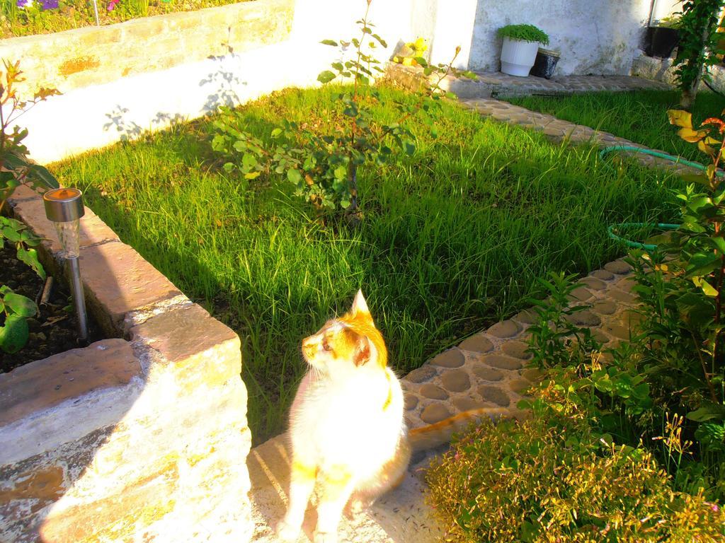 Panorama Perama (Corfu) Quarto foto