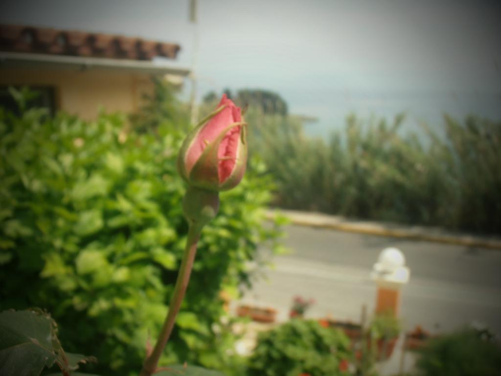 Panorama Perama (Corfu) Exterior foto